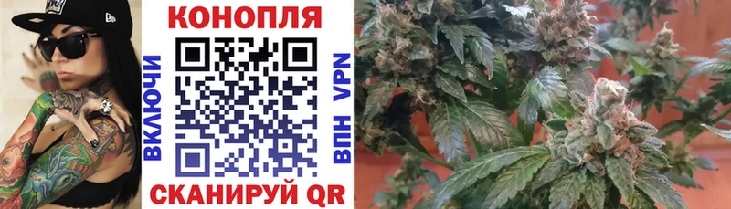 hydra   наркота  Ряжск  Бошки Шишки THC 21% 